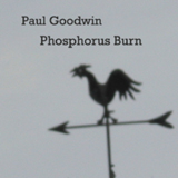 Phosphorus Burn (2006)